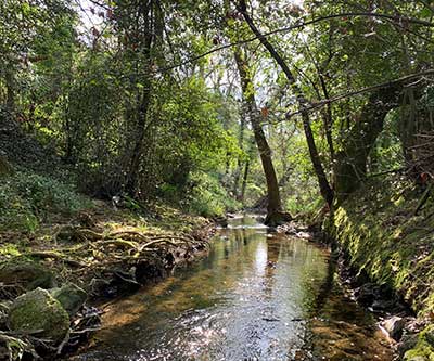 La Brague