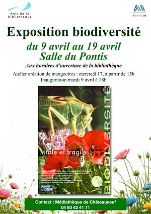 Exposition biodiversité : Vitale et fragile