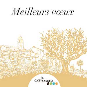 Voeux du Maire