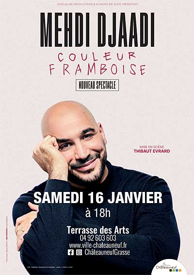 Spectacle humour : « Couleur Framboise » de Mehdi Djaadi